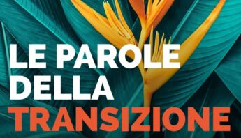 parole transizione imprenditori