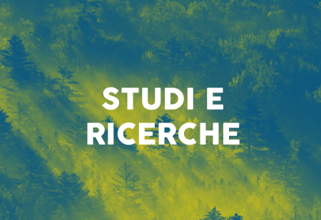 studi e ricerche